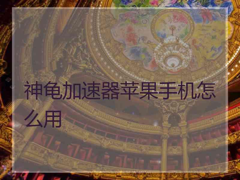 神龟加速器苹果手机怎么用