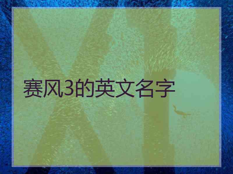 赛风3的英文名字