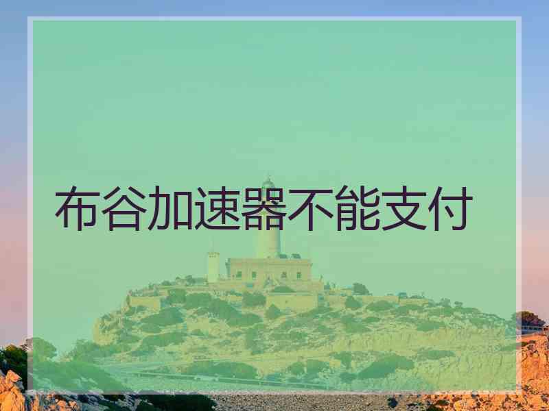 布谷加速器不能支付