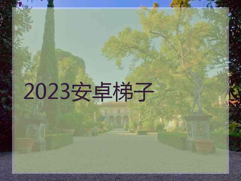 2023安卓梯子