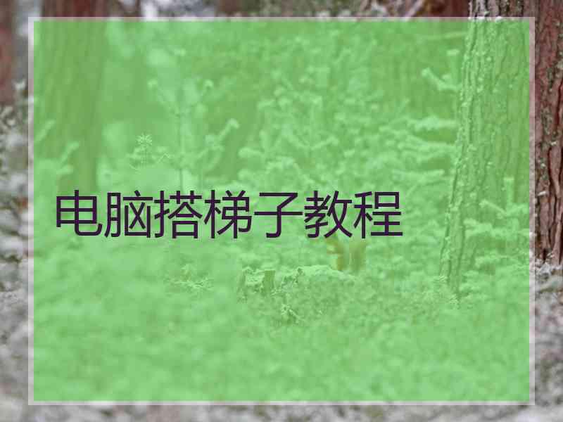 电脑搭梯子教程