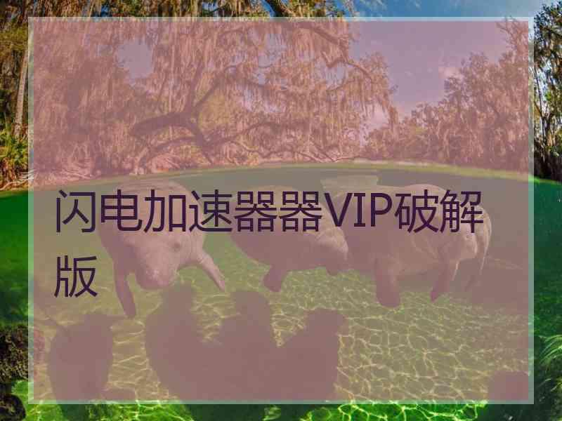 闪电加速器器VIP破解版