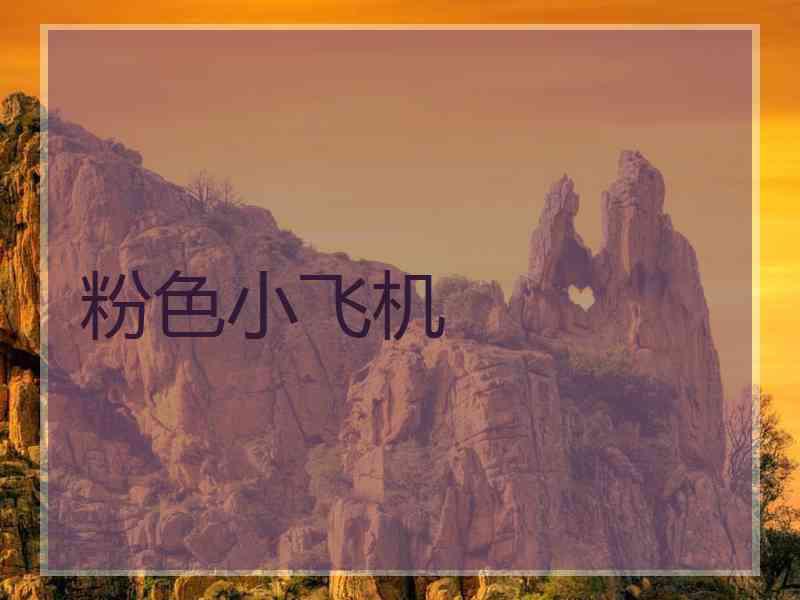 粉色小飞机