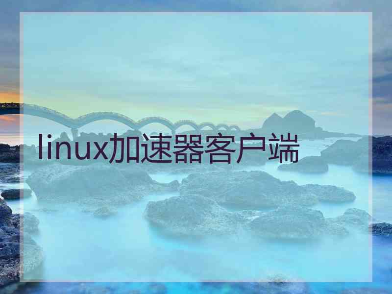 linux加速器客户端