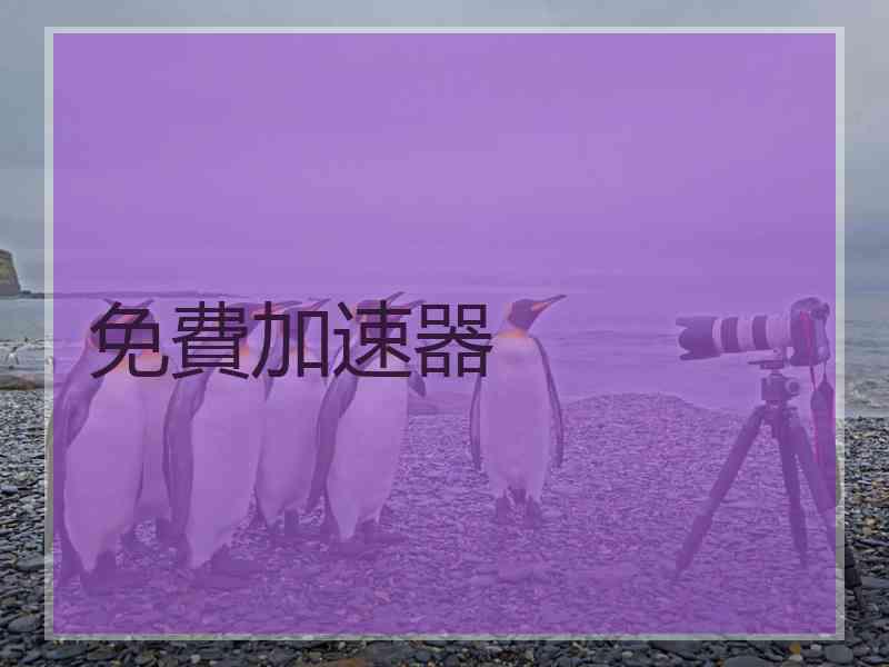 免費加速器