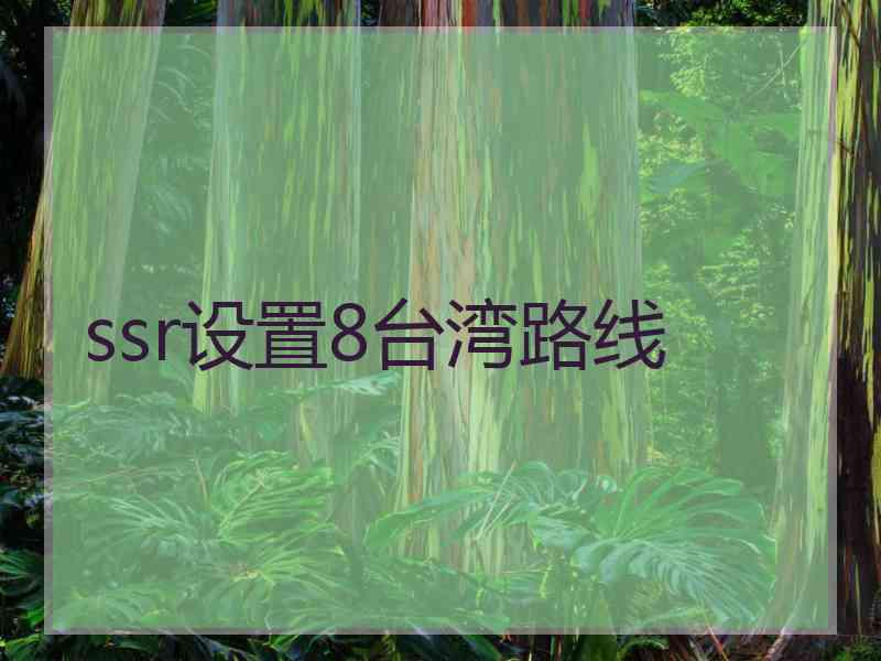 ssr设置8台湾路线