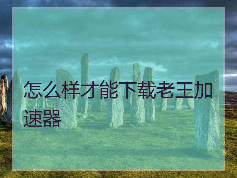 怎么样才能下载老王加速器