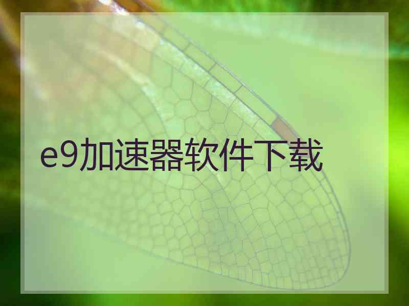 e9加速器软件下载