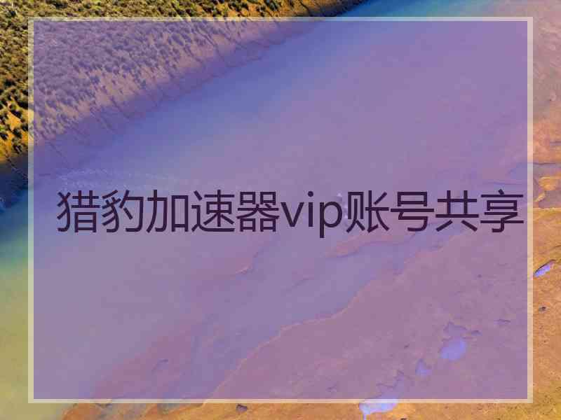 猎豹加速器vip账号共享