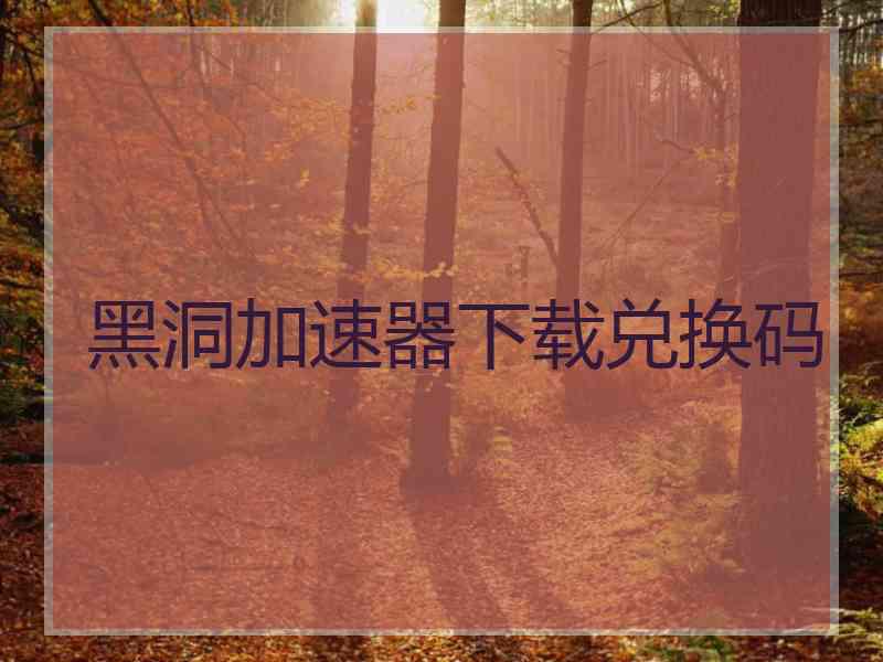 黑洞加速器下载兑换码