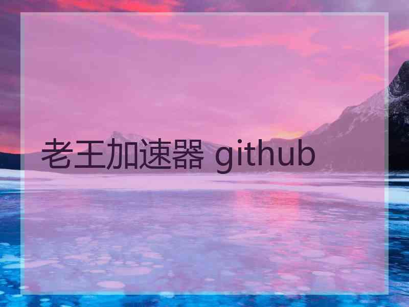 老王加速器 github