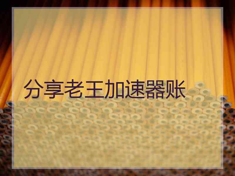 分享老王加速器账