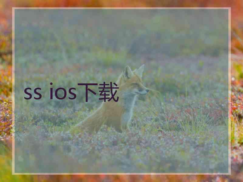 ss ios下载