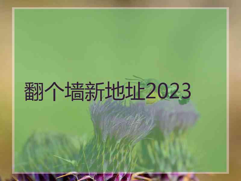 翻个墙新地址2023