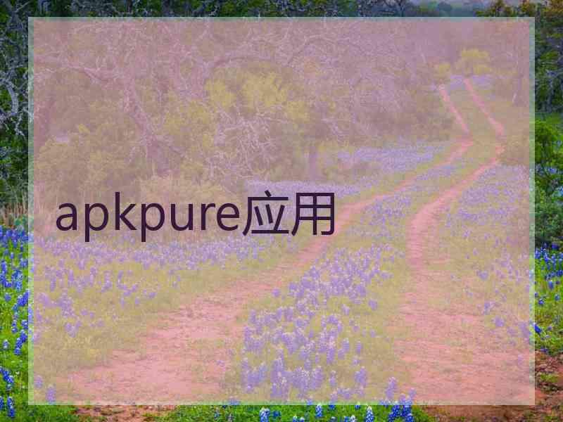 apkpure应用
