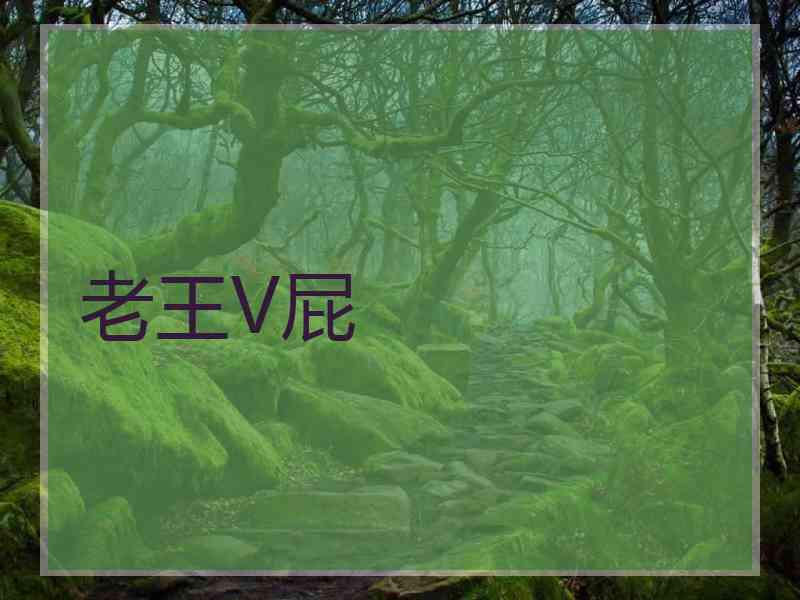 老王V屁
