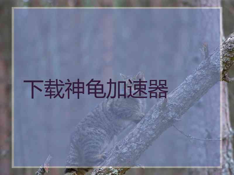 下载神龟加速器