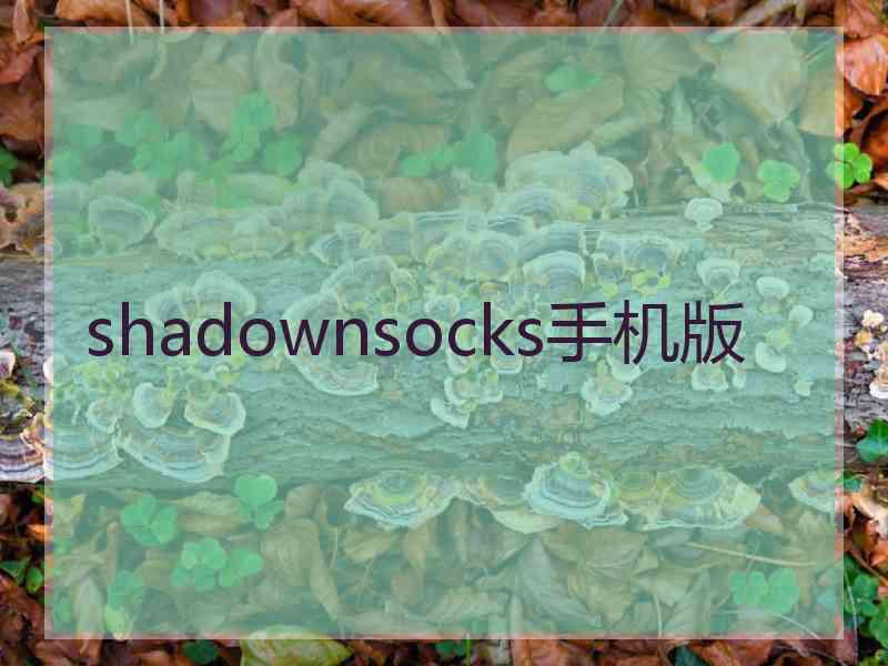 shadownsocks手机版