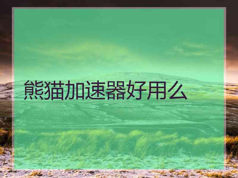 熊猫加速器好用么