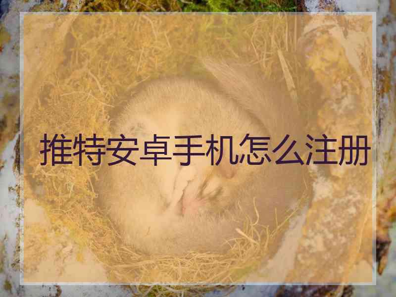 推特安卓手机怎么注册