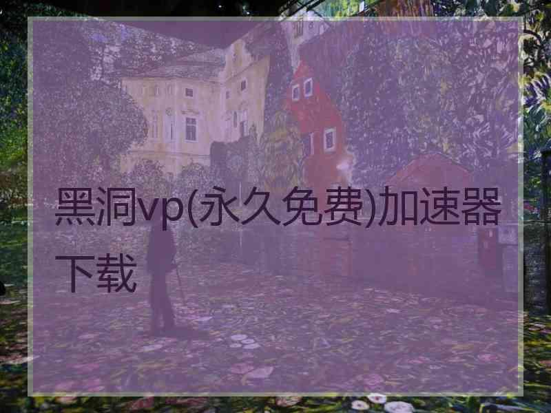 黑洞vp(永久免费)加速器下载