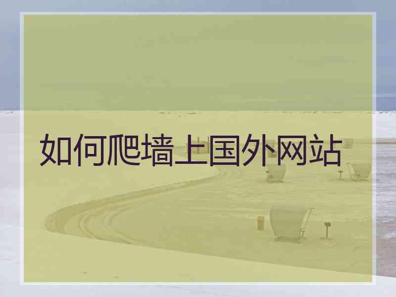 如何爬墙上国外网站