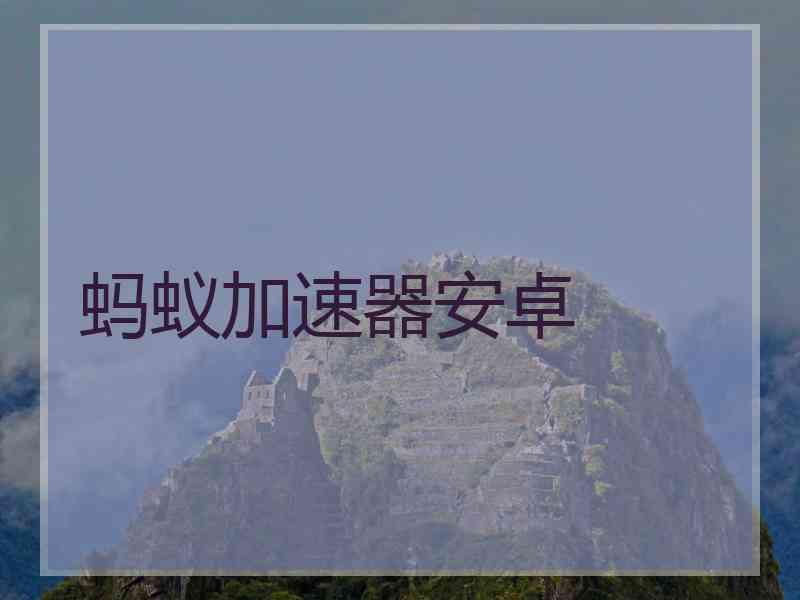 蚂蚁加速器安卓