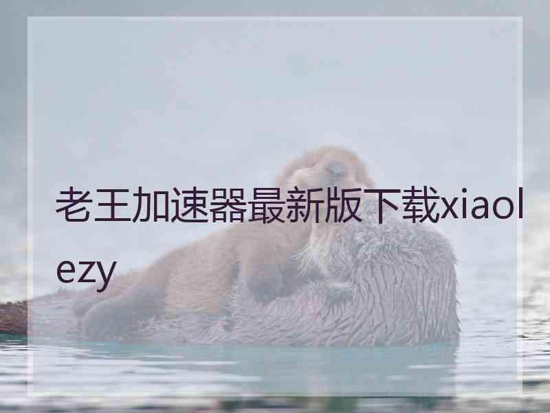 老王加速器最新版下载xiaolezy