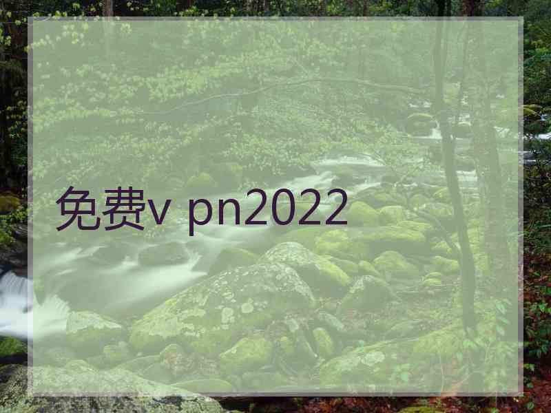 免费v pn2022