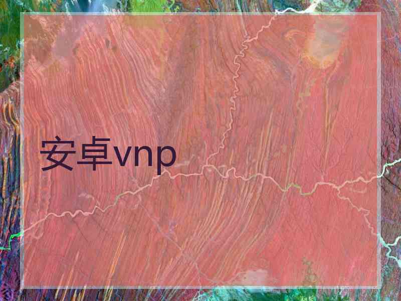 安卓vnp