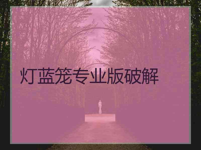 灯蓝笼专业版破解