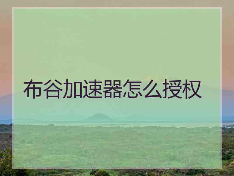 布谷加速器怎么授权