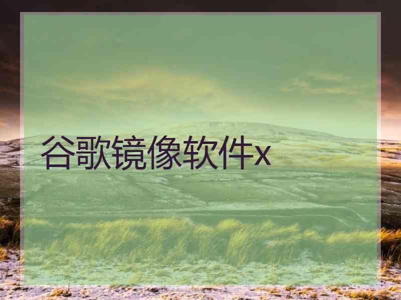 谷歌镜像软件x