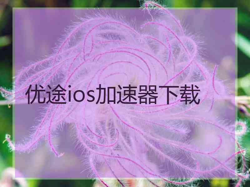 优途ios加速器下载