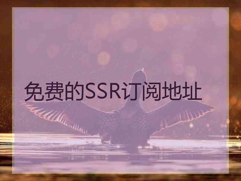 免费的SSR订阅地址