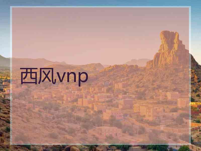 西风vnp