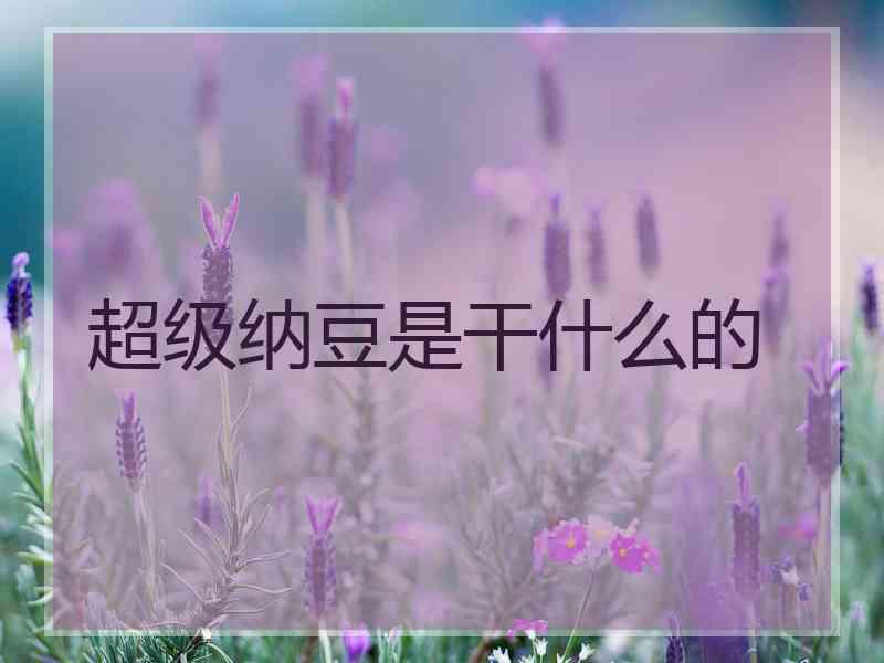 超级纳豆是干什么的
