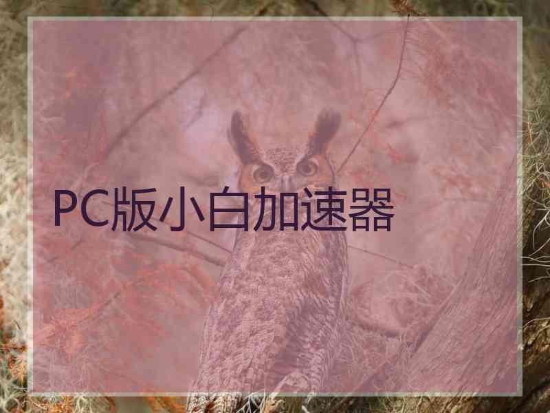 PC版小白加速器