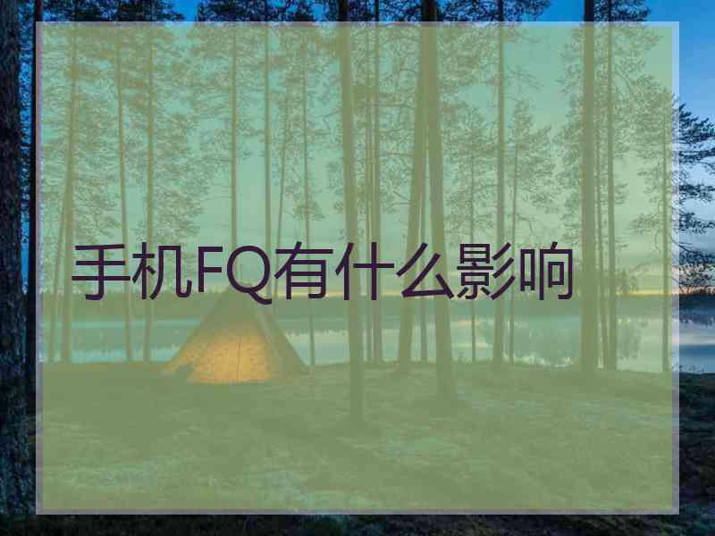 手机FQ有什么影响