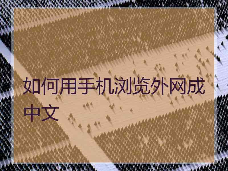 如何用手机浏览外网成中文