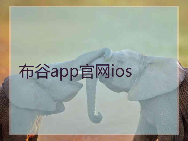 布谷app官网ios