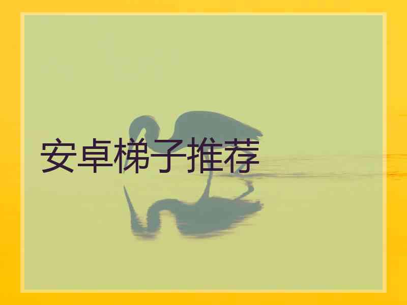 安卓梯子推荐
