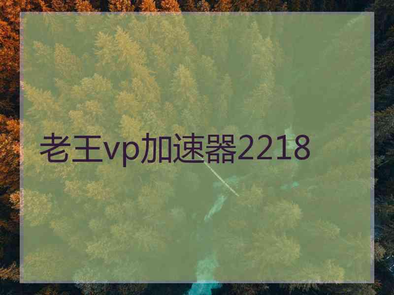 老王vp加速器2218