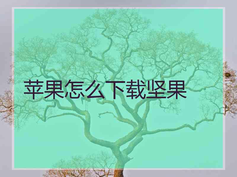 苹果怎么下载坚果