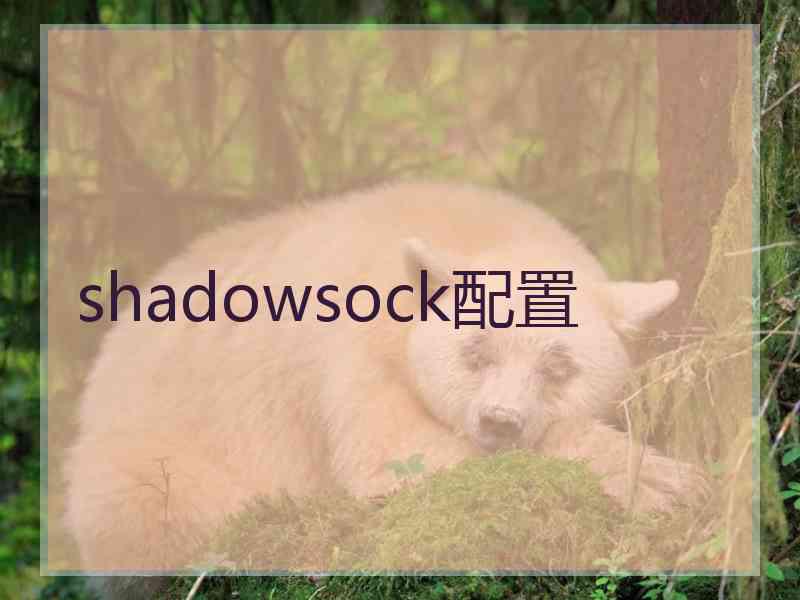 shadowsock配置