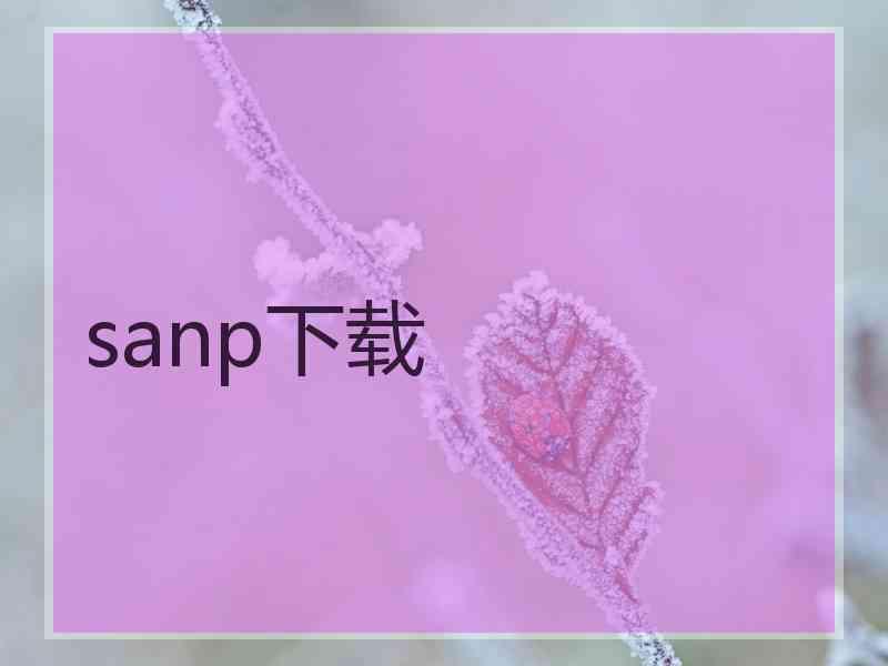 sanp下载