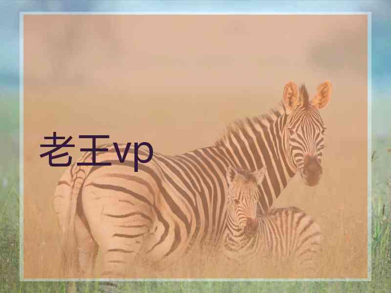 老王vp