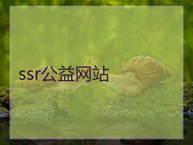 ssr公益网站