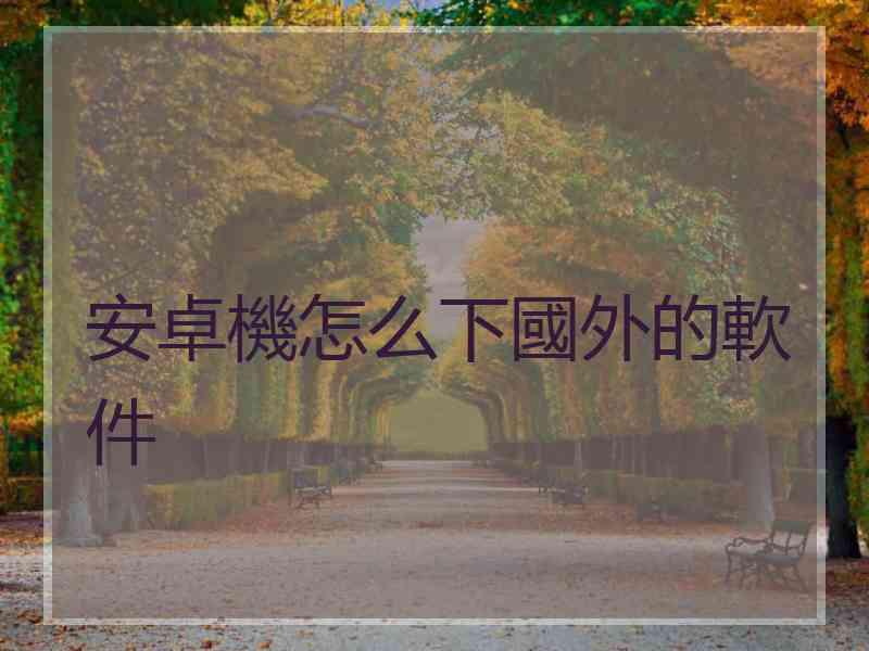安卓機怎么下國外的軟件