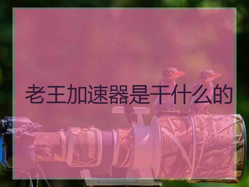老王加速器是干什么的